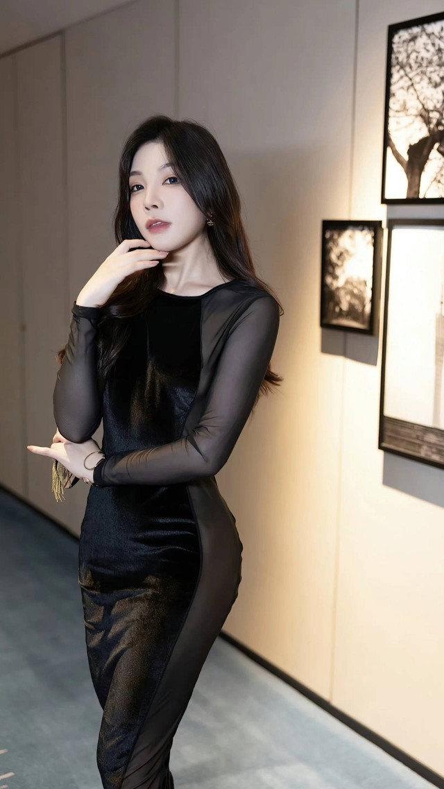 应用安装步骤示意图